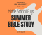 Boys Summer Study