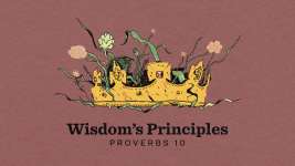 Wisdom's Principles