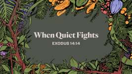 When Quiet Fights