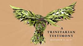 A Trinitarian Testimony