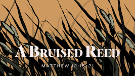 A Bruised Reed