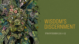 Wisdom's Discernment