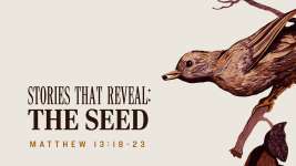 Stories that Reveal: The Seed