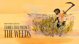 Stories that Predict: The Weeds