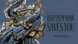 Baptism Now Saves You