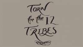 Torn for the 12 Tribes