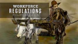 Workforce Regulations