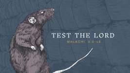 Test the Lord